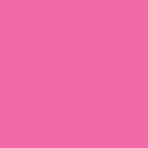 Meet your Posher, Ella